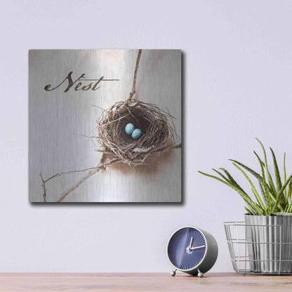 Luxe Metal Art 'Nest and Branch IV - Nest' by Debra Van Swearingen, Metal Wall Art,12x12