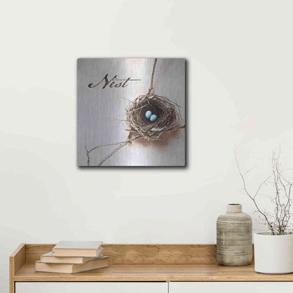 Luxe Metal Art 'Nest and Branch IV - Nest' by Debra Van Swearingen, Metal Wall Art,12x12