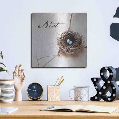 Luxe Metal Art 'Nest and Branch IV - Nest' by Debra Van Swearingen, Metal Wall Art,12x12