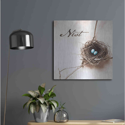 Luxe Metal Art 'Nest and Branch IV - Nest' by Debra Van Swearingen, Metal Wall Art,24x24
