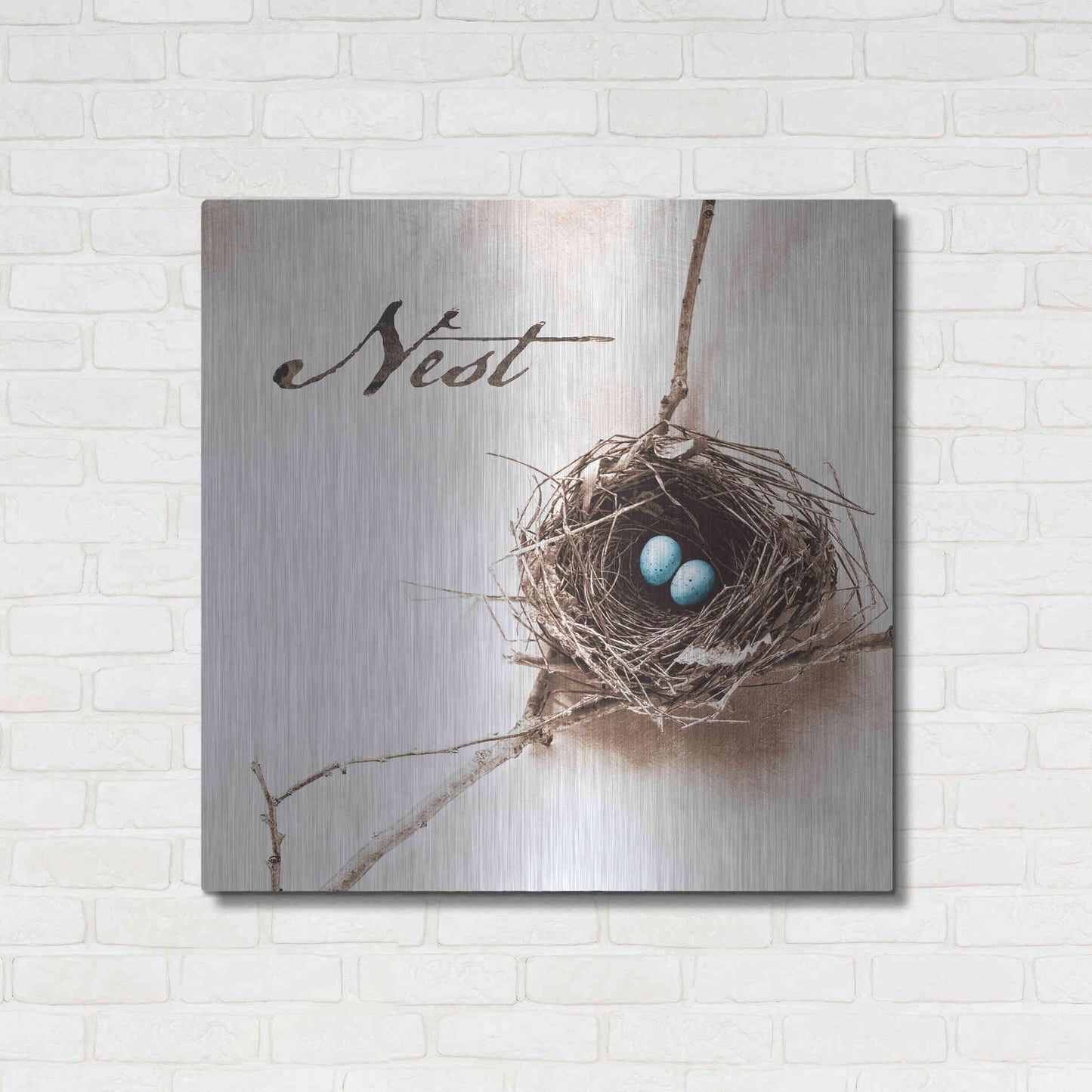 Luxe Metal Art 'Nest and Branch IV - Nest' by Debra Van Swearingen, Metal Wall Art,36x36