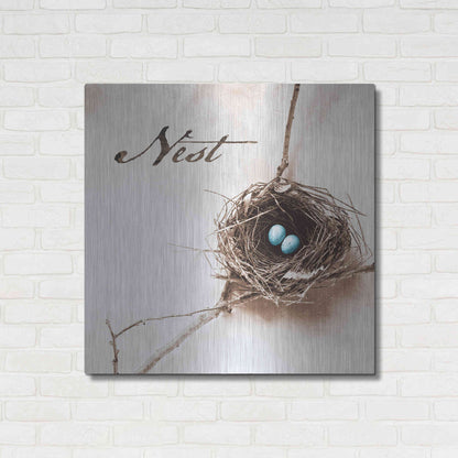 Luxe Metal Art 'Nest and Branch IV - Nest' by Debra Van Swearingen, Metal Wall Art,36x36