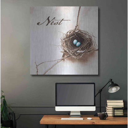 Luxe Metal Art 'Nest and Branch IV - Nest' by Debra Van Swearingen, Metal Wall Art,36x36