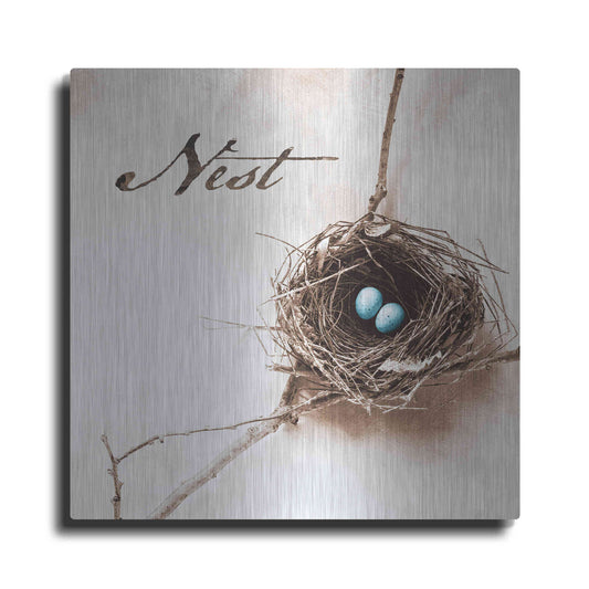 Luxe Metal Art 'Nest and Branch IV - Nest' by Debra Van Swearingen, Metal Wall Art