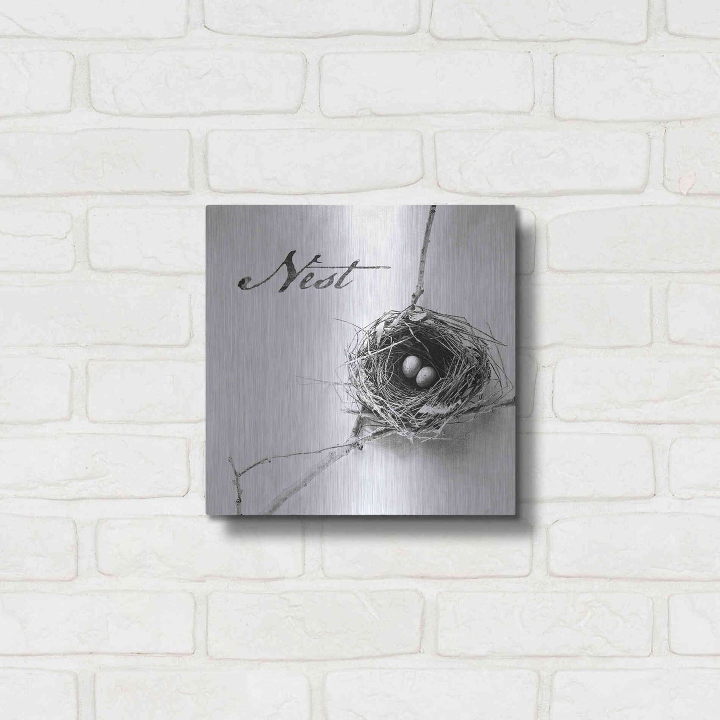 Luxe Metal Art 'Nest and Branch IV - Nest B&W' by Debra Van Swearingen, Metal Wall Art,12x12