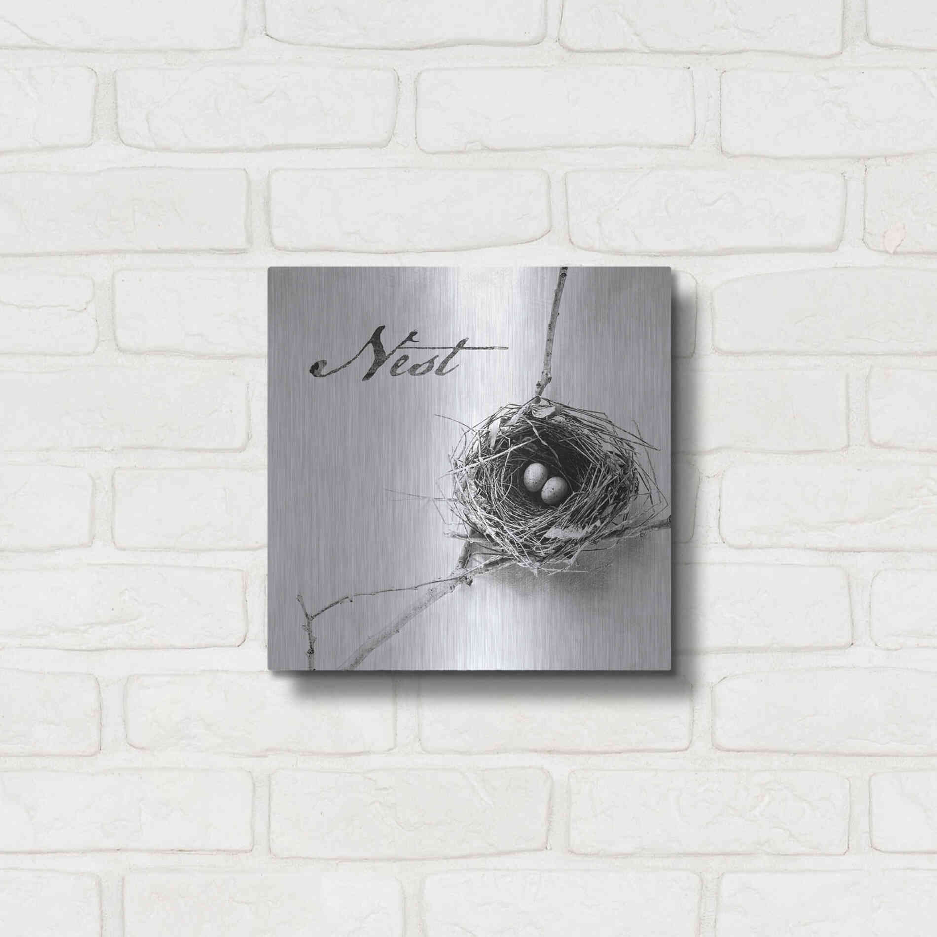 Luxe Metal Art 'Nest and Branch IV - Nest B&W' by Debra Van Swearingen, Metal Wall Art,12x12