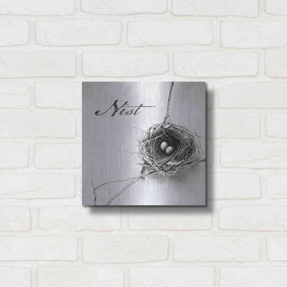 Luxe Metal Art 'Nest and Branch IV - Nest B&W' by Debra Van Swearingen, Metal Wall Art,12x12