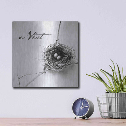 Luxe Metal Art 'Nest and Branch IV - Nest B&W' by Debra Van Swearingen, Metal Wall Art,12x12