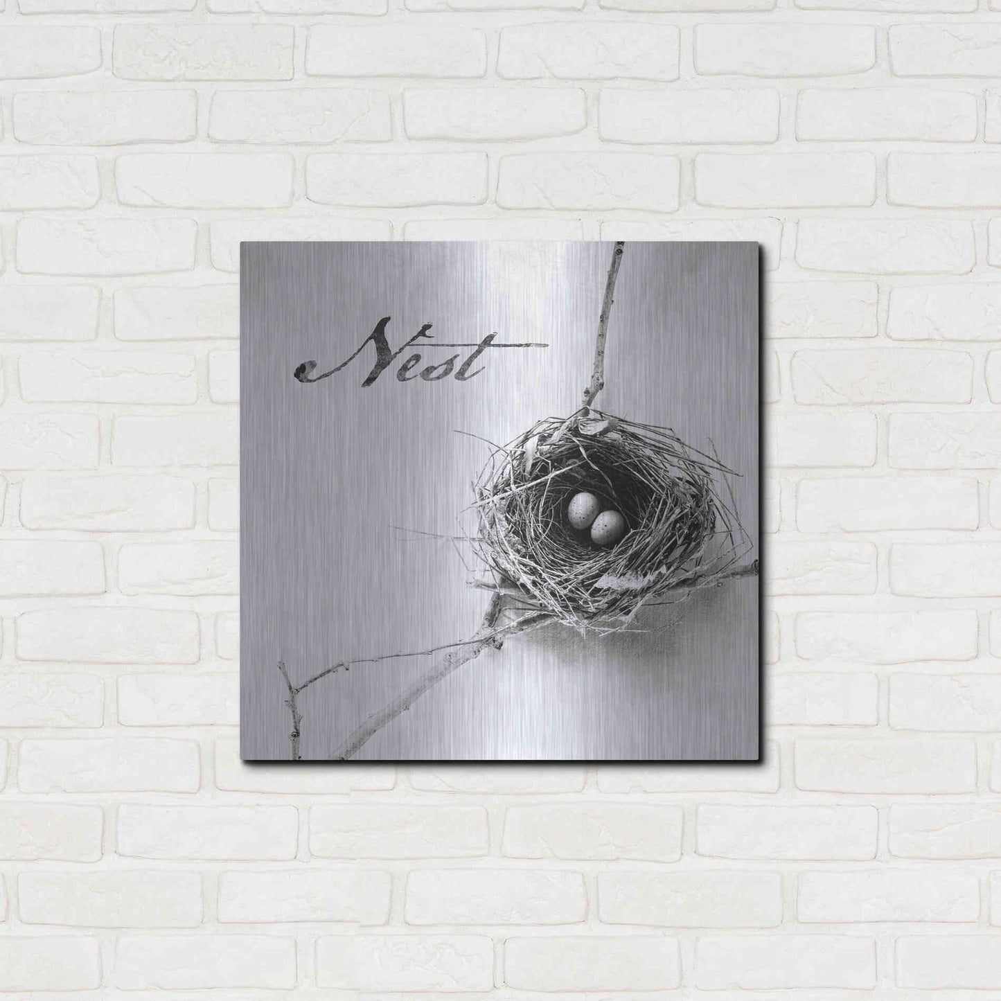 Luxe Metal Art 'Nest and Branch IV - Nest B&W' by Debra Van Swearingen, Metal Wall Art,24x24