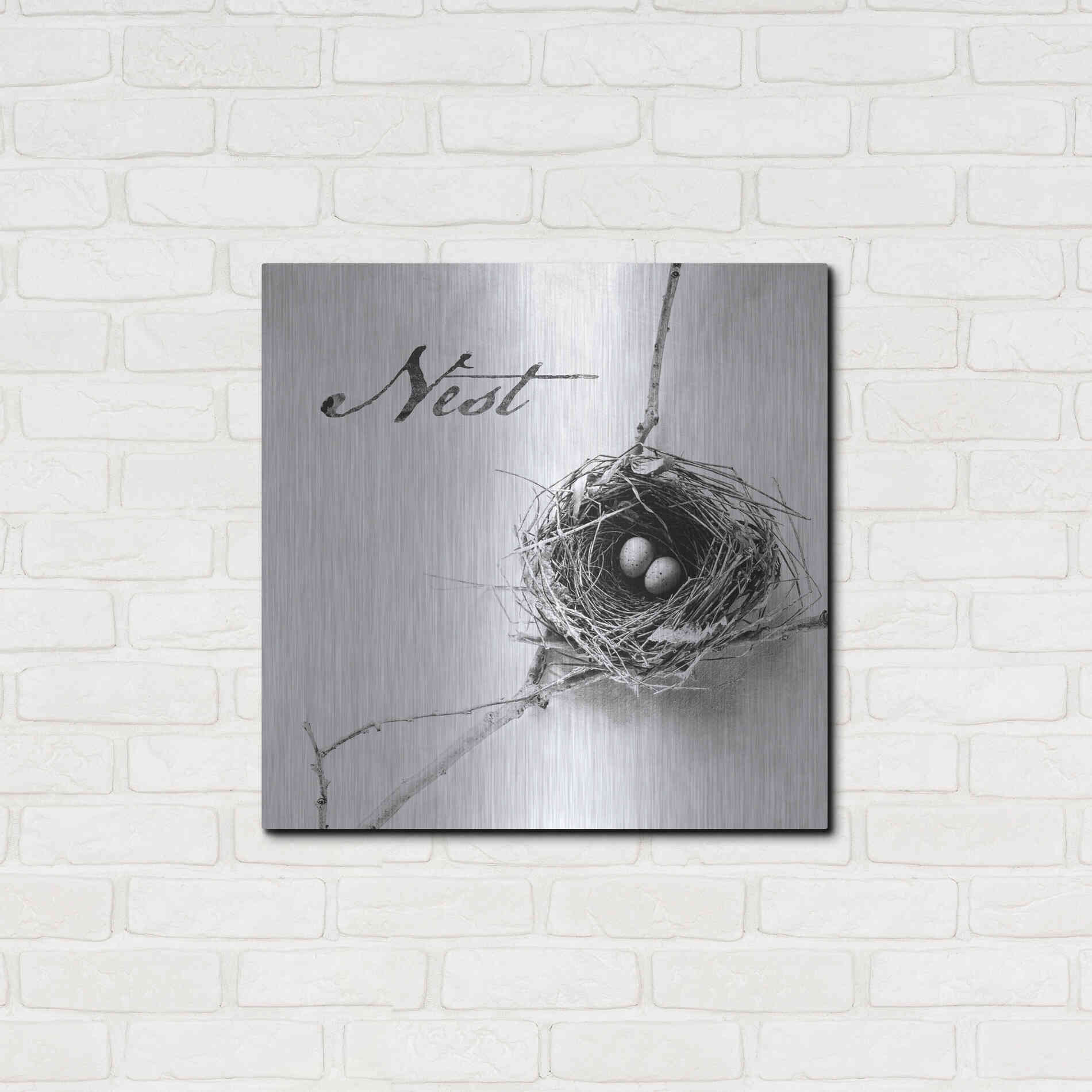 Luxe Metal Art 'Nest and Branch IV - Nest B&W' by Debra Van Swearingen, Metal Wall Art,24x24