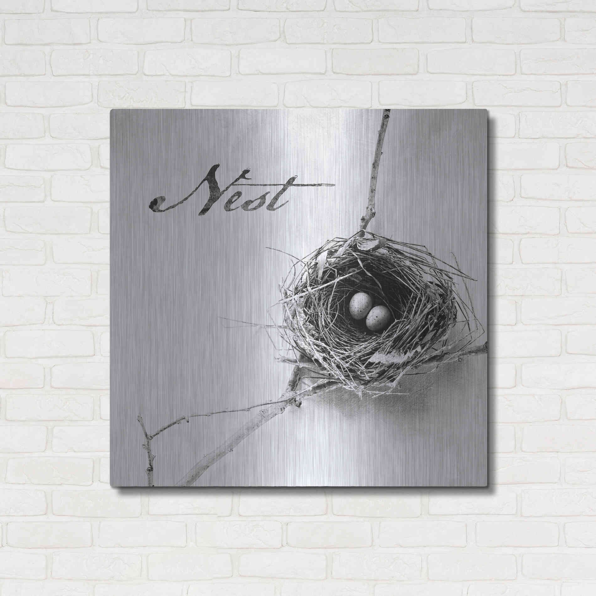 Luxe Metal Art 'Nest and Branch IV - Nest B&W' by Debra Van Swearingen, Metal Wall Art,36x36