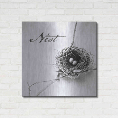 Luxe Metal Art 'Nest and Branch IV - Nest B&W' by Debra Van Swearingen, Metal Wall Art,36x36
