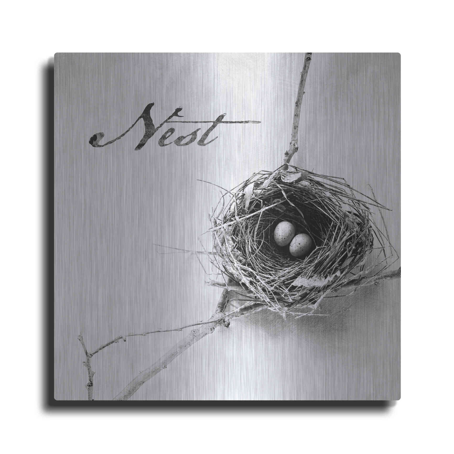 Luxe Metal Art 'Nest and Branch IV - Nest B&W' by Debra Van Swearingen, Metal Wall Art