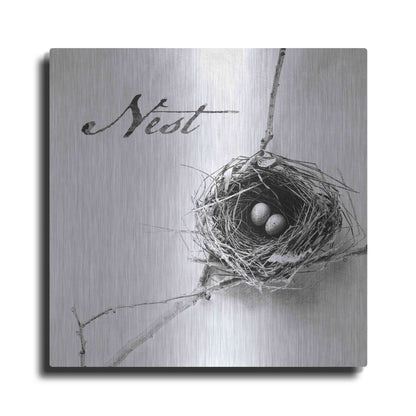 Luxe Metal Art 'Nest and Branch IV - Nest B&W' by Debra Van Swearingen, Metal Wall Art