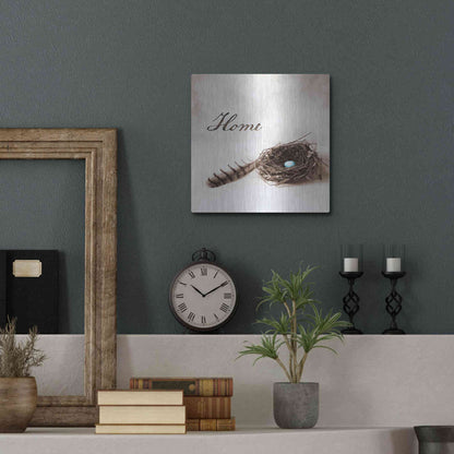 Luxe Metal Art 'Nestled IV - Home' by Debra Van Swearingen, Metal Wall Art,12x12