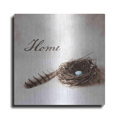 Luxe Metal Art 'Nestled IV - Home' by Debra Van Swearingen, Metal Wall Art