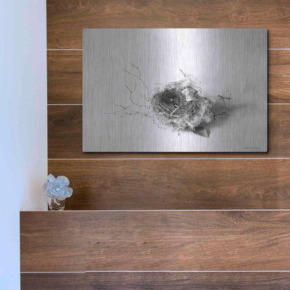 Luxe Metal Art 'Nestled III' by Debra Van Swearingen, Metal Wall Art,16x12