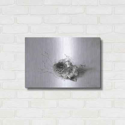 Luxe Metal Art 'Nestled III' by Debra Van Swearingen, Metal Wall Art,24x16