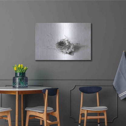 Luxe Metal Art 'Nestled III' by Debra Van Swearingen, Metal Wall Art,36x24