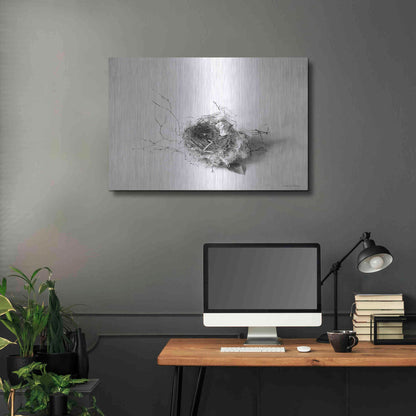 Luxe Metal Art 'Nestled III' by Debra Van Swearingen, Metal Wall Art,36x24