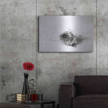 Luxe Metal Art 'Nestled III' by Debra Van Swearingen, Metal Wall Art,36x24