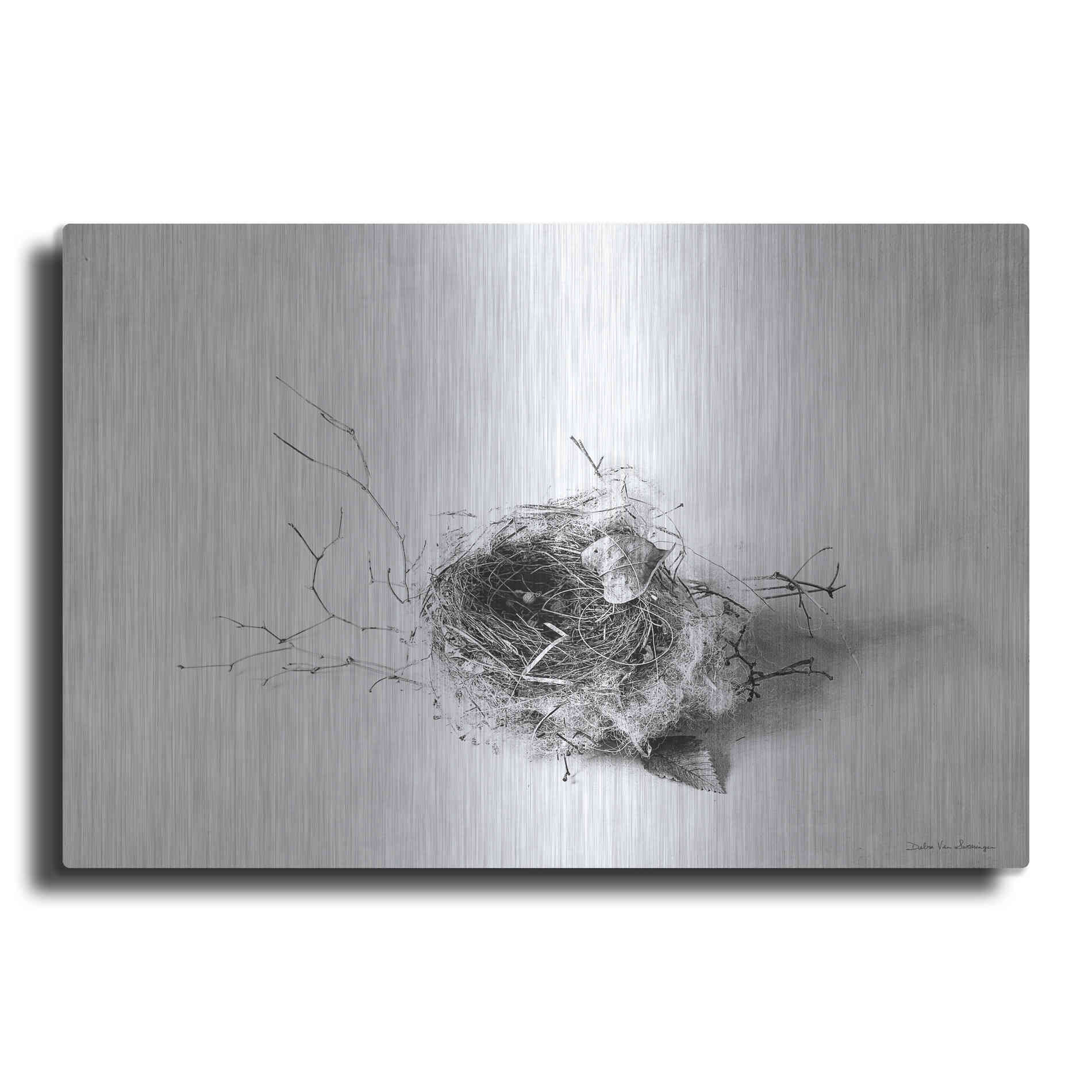 Luxe Metal Art 'Nestled III' by Debra Van Swearingen, Metal Wall Art