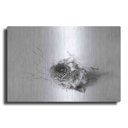 Luxe Metal Art 'Nestled III' by Debra Van Swearingen, Metal Wall Art