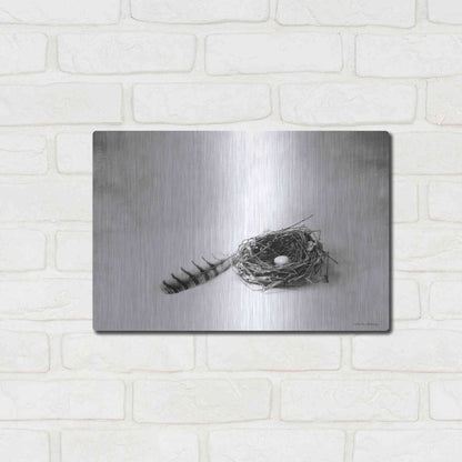 Luxe Metal Art 'Nestled IV' by Debra Van Swearingen, Metal Wall Art,16x12