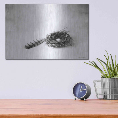 Luxe Metal Art 'Nestled IV' by Debra Van Swearingen, Metal Wall Art,16x12