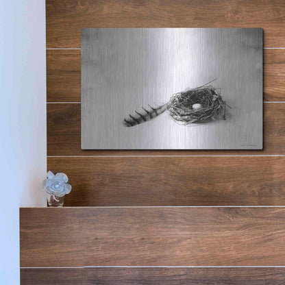 Luxe Metal Art 'Nestled IV' by Debra Van Swearingen, Metal Wall Art,16x12