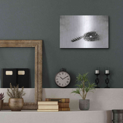 Luxe Metal Art 'Nestled IV' by Debra Van Swearingen, Metal Wall Art,16x12