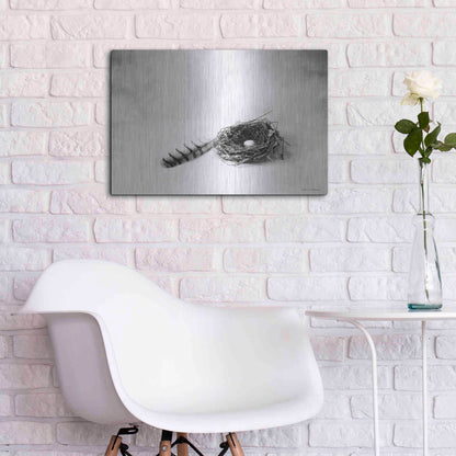 Luxe Metal Art 'Nestled IV' by Debra Van Swearingen, Metal Wall Art,24x16