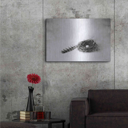Luxe Metal Art 'Nestled IV' by Debra Van Swearingen, Metal Wall Art,36x24
