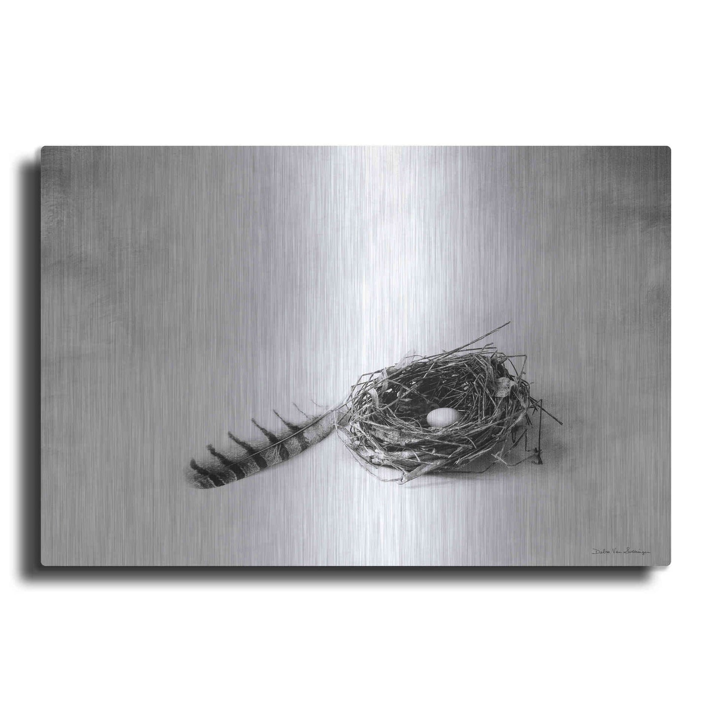 Luxe Metal Art 'Nestled IV' by Debra Van Swearingen, Metal Wall Art