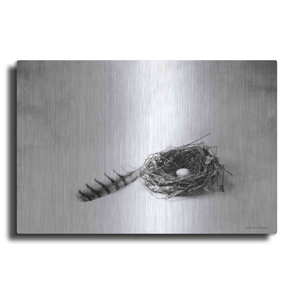 Luxe Metal Art 'Nestled IV' by Debra Van Swearingen, Metal Wall Art