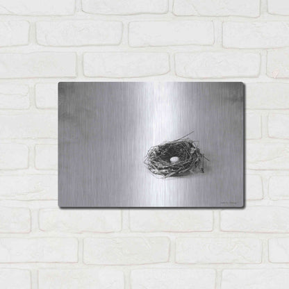 Luxe Metal Art 'Nestled V' by Debra Van Swearingen, Metal Wall Art,16x12