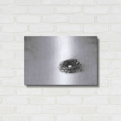 Luxe Metal Art 'Nestled V' by Debra Van Swearingen, Metal Wall Art,24x16