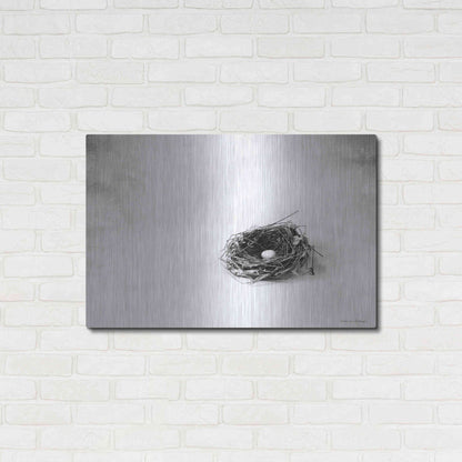 Luxe Metal Art 'Nestled V' by Debra Van Swearingen, Metal Wall Art,36x24