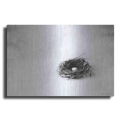 Luxe Metal Art 'Nestled V' by Debra Van Swearingen, Metal Wall Art
