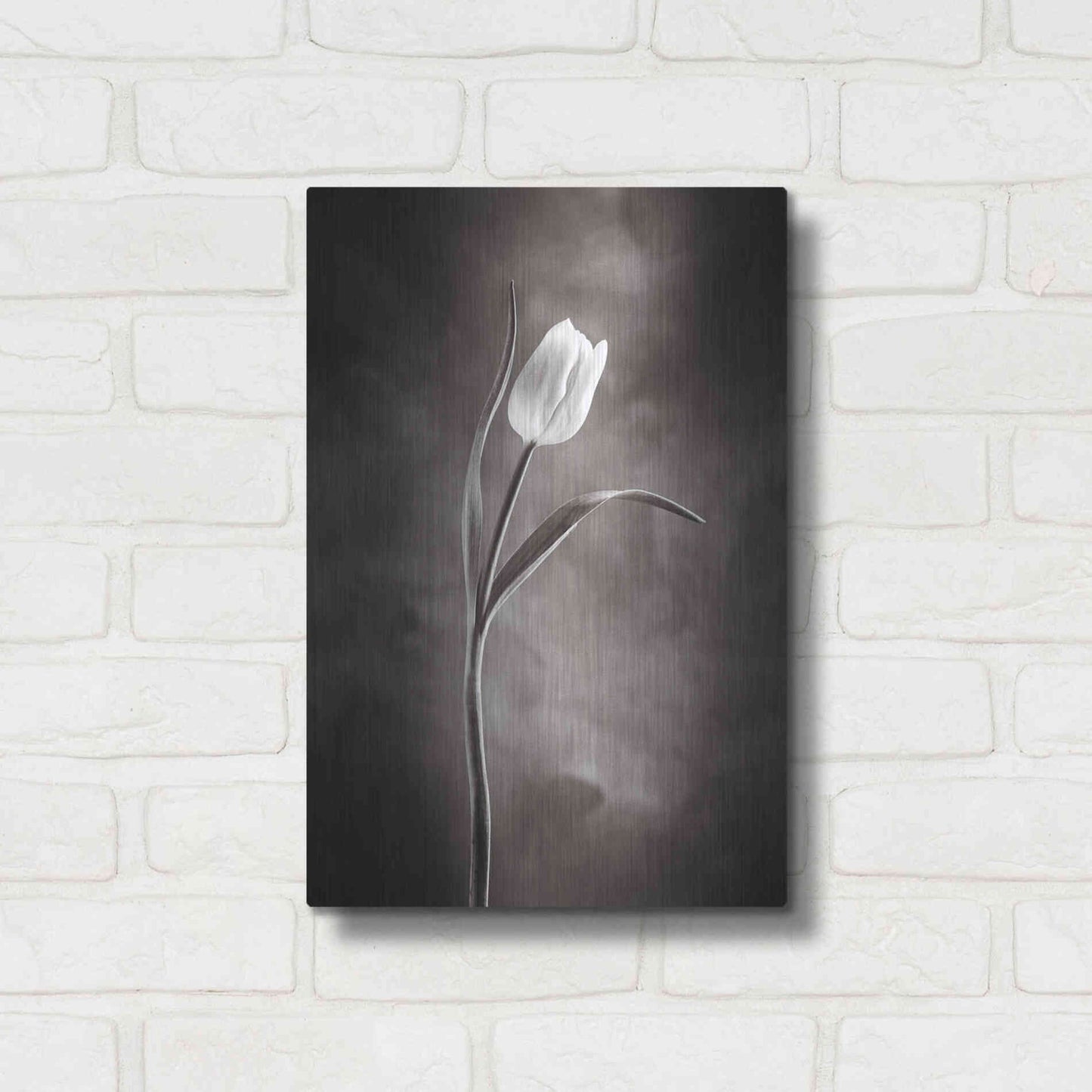 Luxe Metal Art 'Two Tone Tulips I' by Debra Van Swearingen, Metal Wall Art,12x16