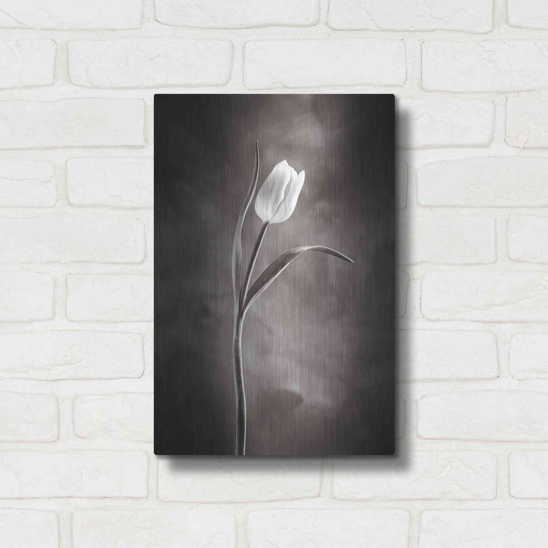Luxe Metal Art 'Two Tone Tulips I' by Debra Van Swearingen, Metal Wall Art,12x16