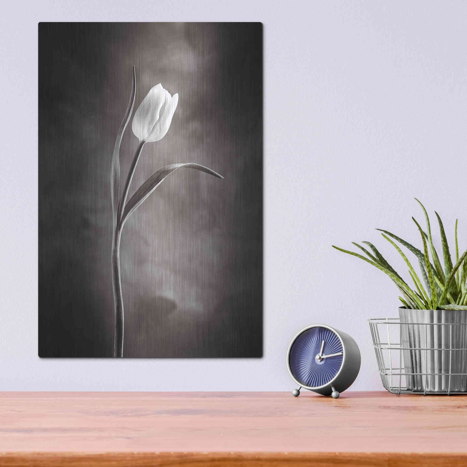 Luxe Metal Art 'Two Tone Tulips I' by Debra Van Swearingen, Metal Wall Art,12x16