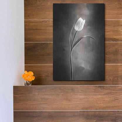 Luxe Metal Art 'Two Tone Tulips I' by Debra Van Swearingen, Metal Wall Art,12x16
