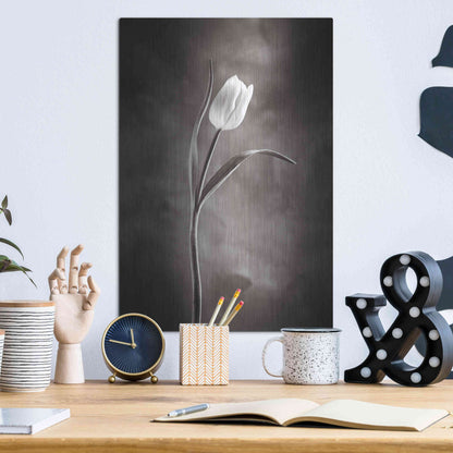 Luxe Metal Art 'Two Tone Tulips I' by Debra Van Swearingen, Metal Wall Art,12x16