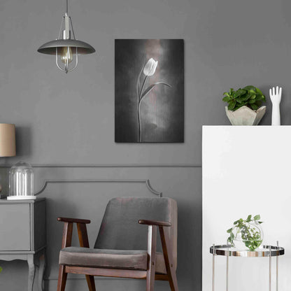 Luxe Metal Art 'Two Tone Tulips I' by Debra Van Swearingen, Metal Wall Art,16x24