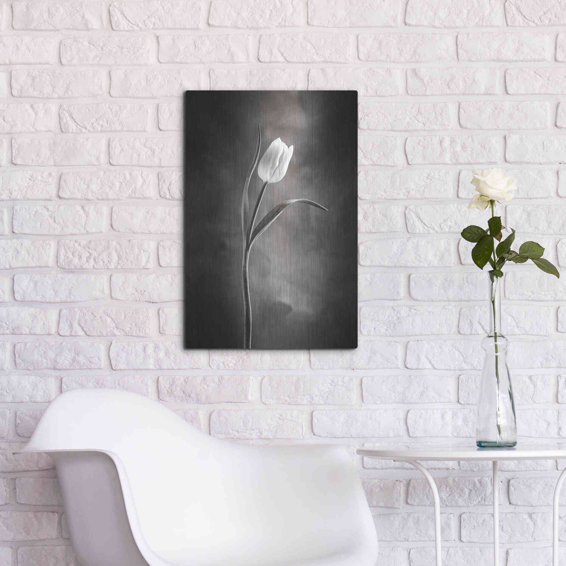 Luxe Metal Art 'Two Tone Tulips I' by Debra Van Swearingen, Metal Wall Art,16x24