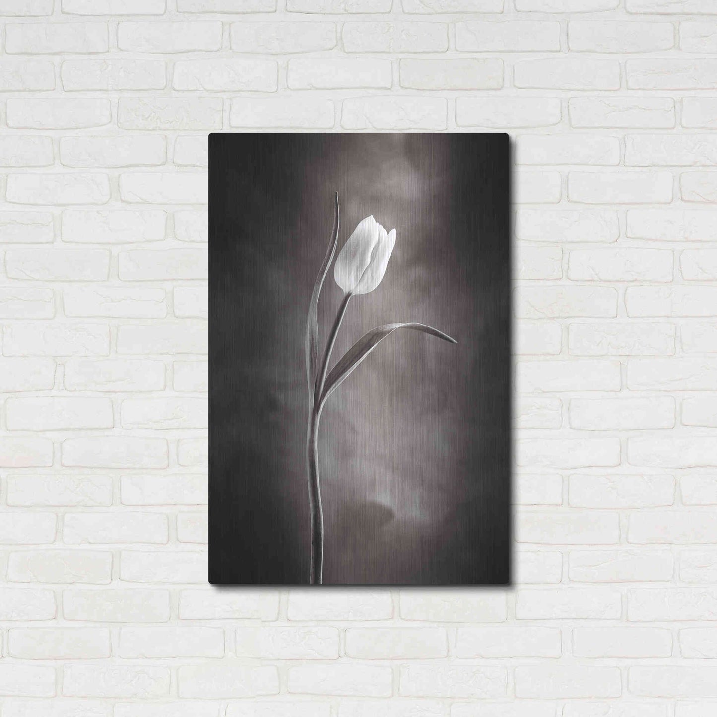 Luxe Metal Art 'Two Tone Tulips I' by Debra Van Swearingen, Metal Wall Art,24x36