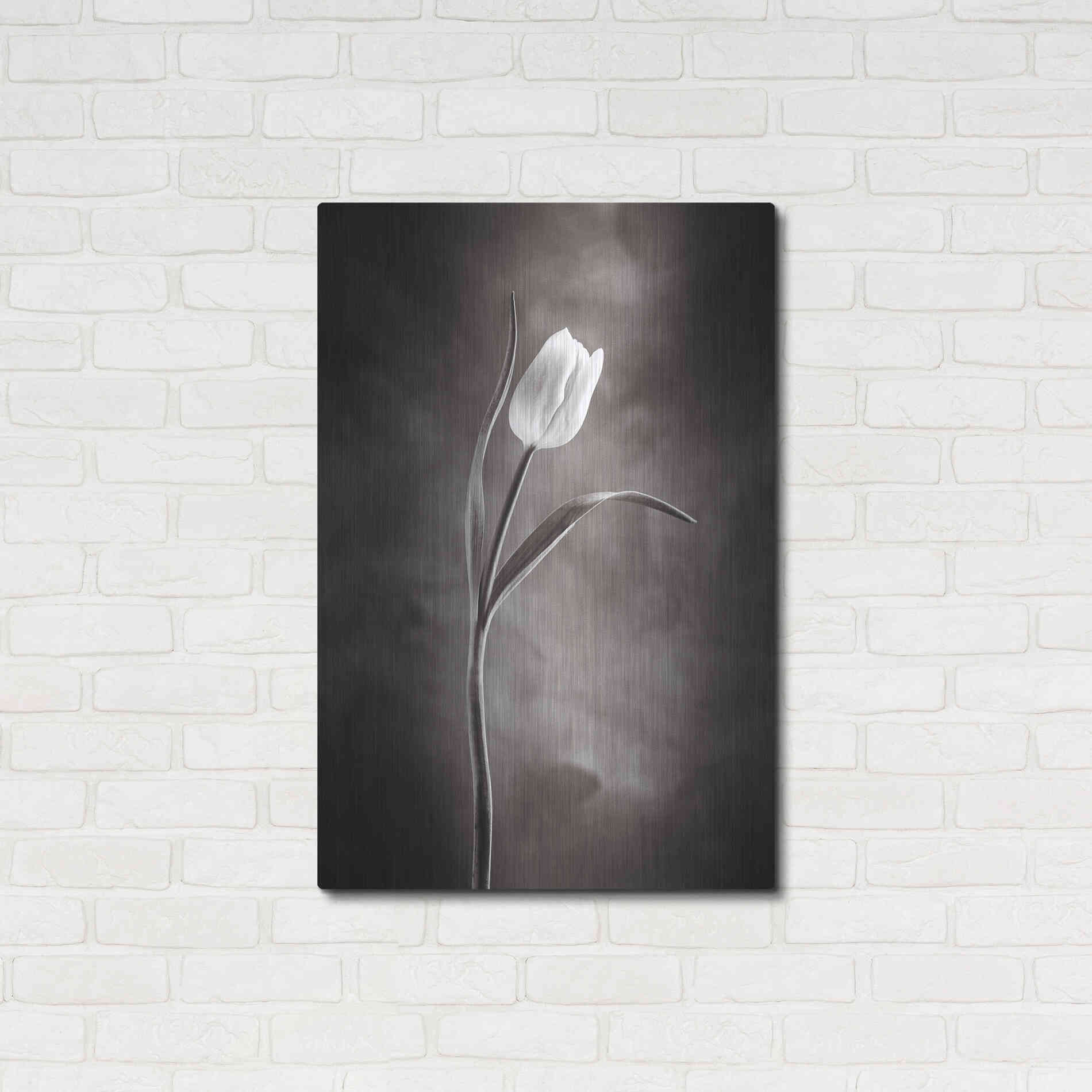 Luxe Metal Art 'Two Tone Tulips I' by Debra Van Swearingen, Metal Wall Art,24x36