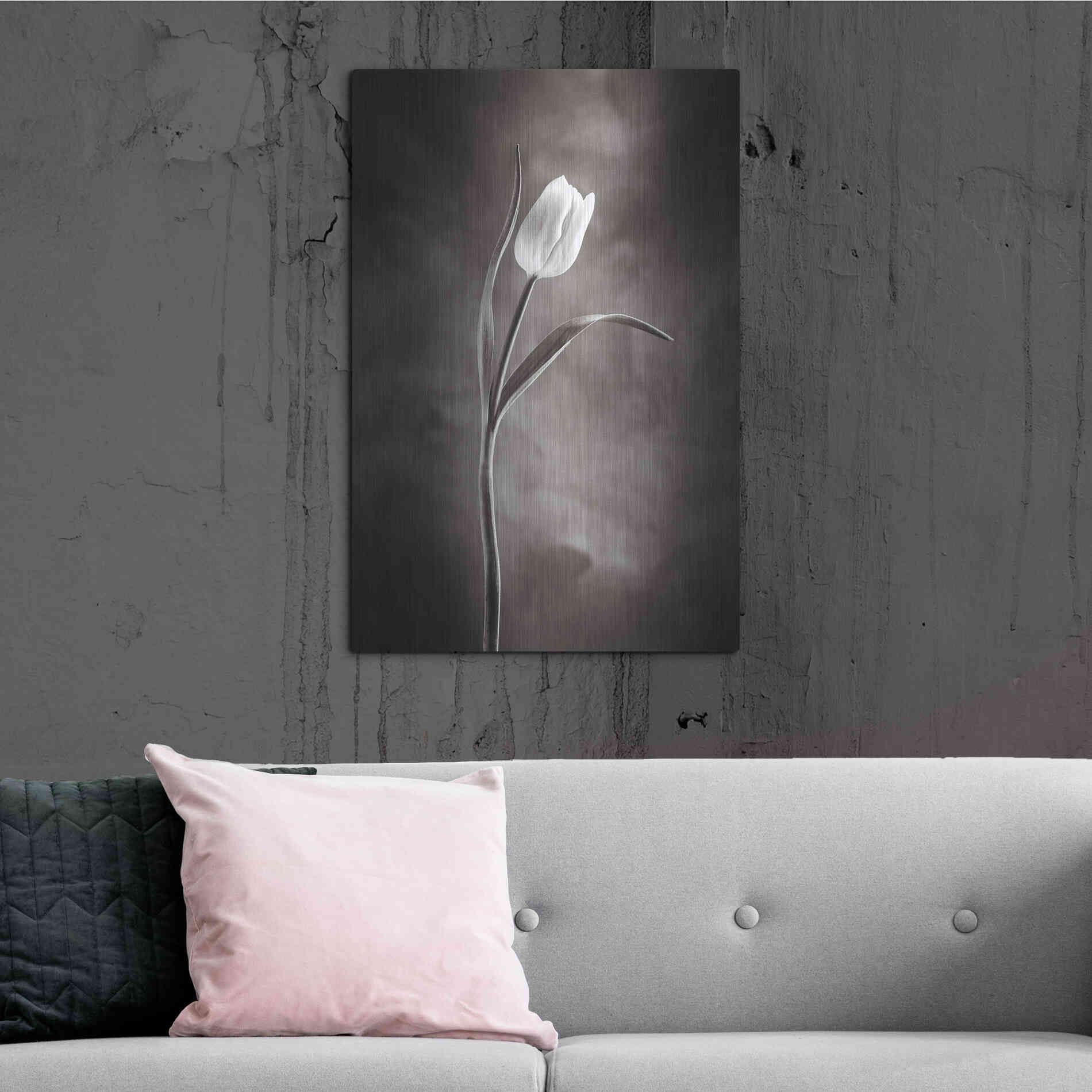 Luxe Metal Art 'Two Tone Tulips I' by Debra Van Swearingen, Metal Wall Art,24x36