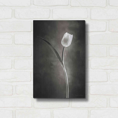 Luxe Metal Art 'Two Tone Tulips II' by Debra Van Swearingen, Metal Wall Art,12x16